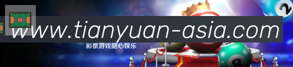 未来规划